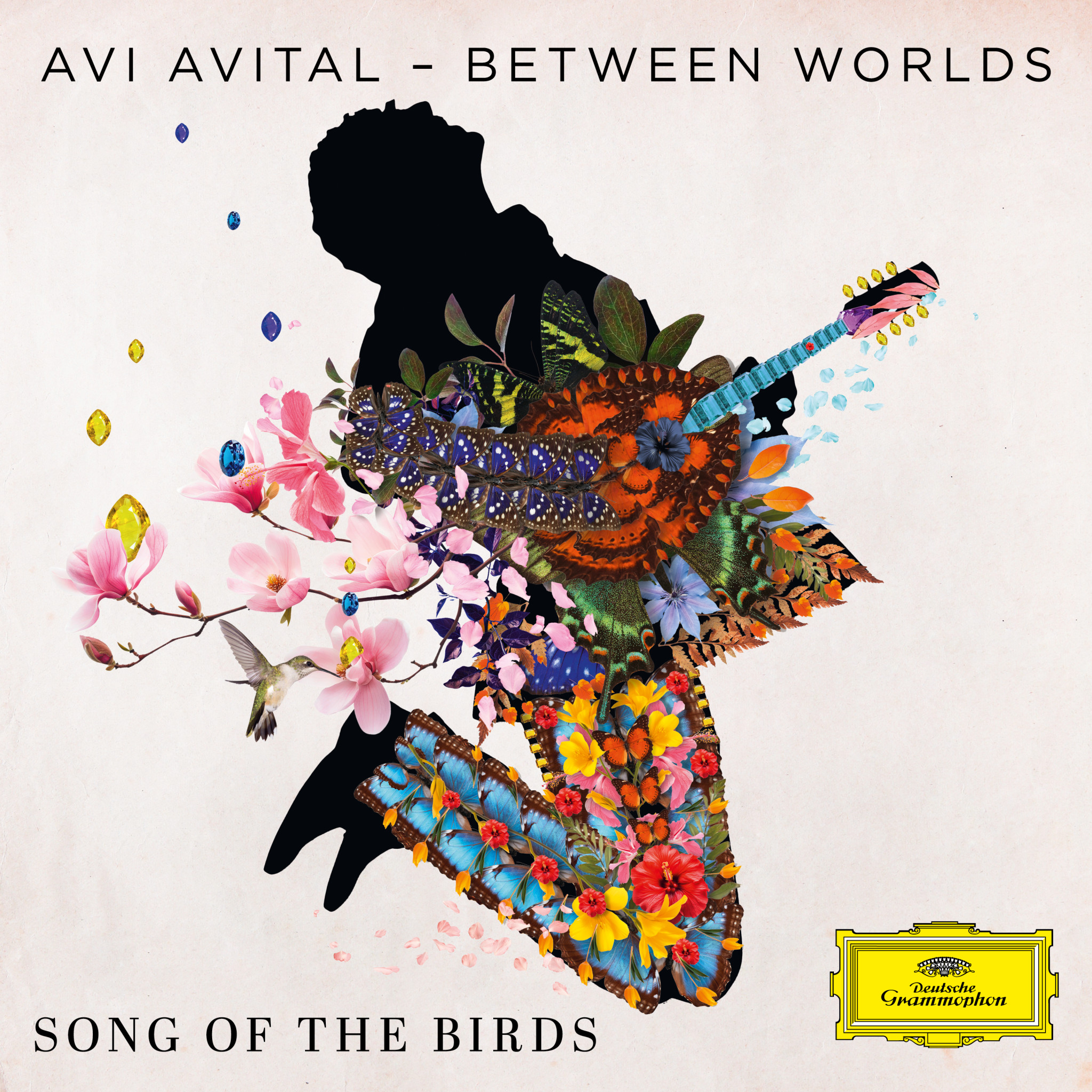 SONG OF THE BIRDS SONG OF THE BIRDS