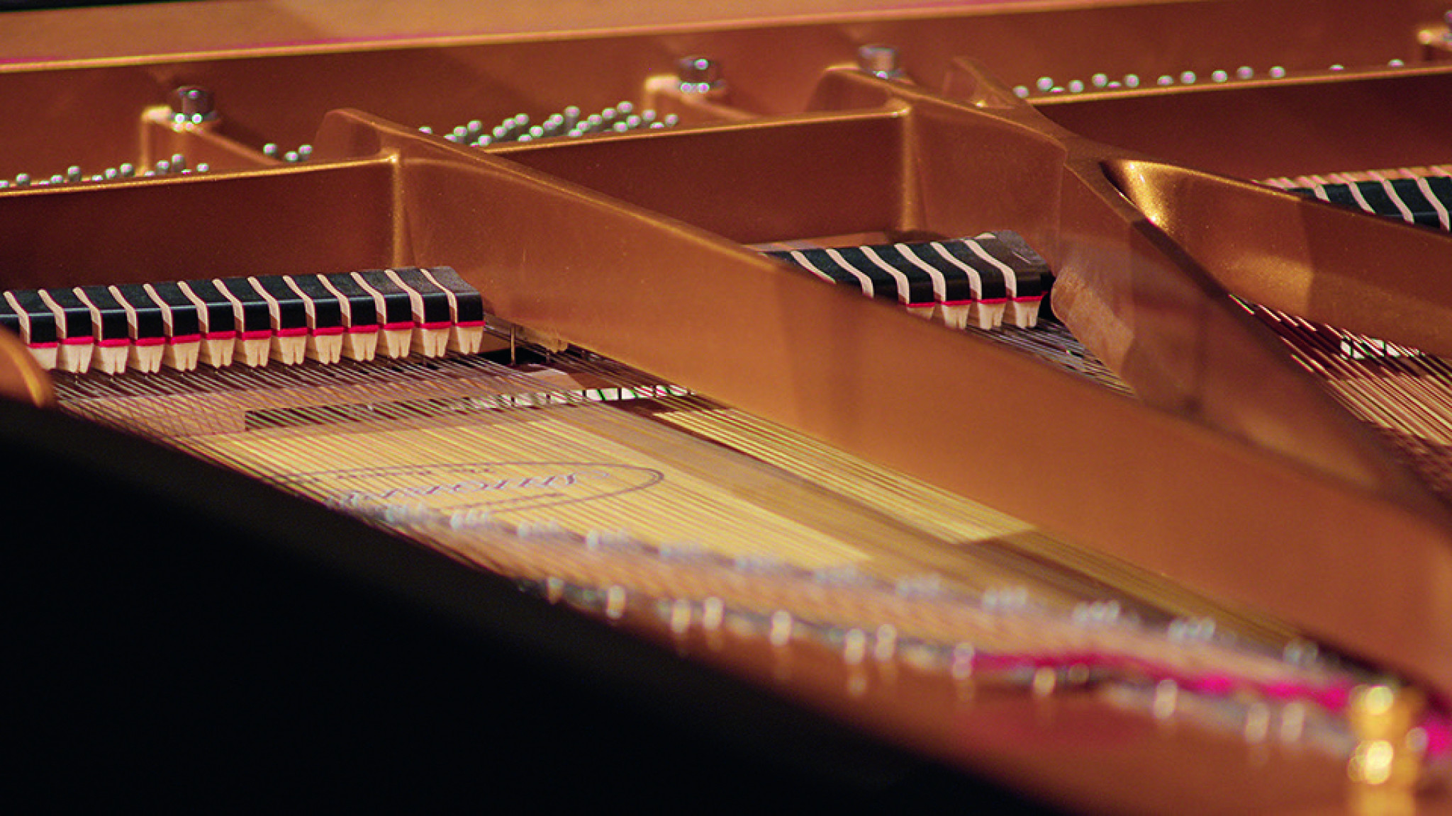 Pletnev_piano_© Evgeny Beleninov (1).jpeg