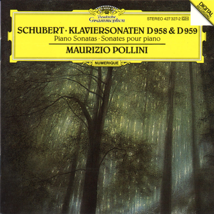 Schubert: Piano Sonatas D958 & D959 0028942732722