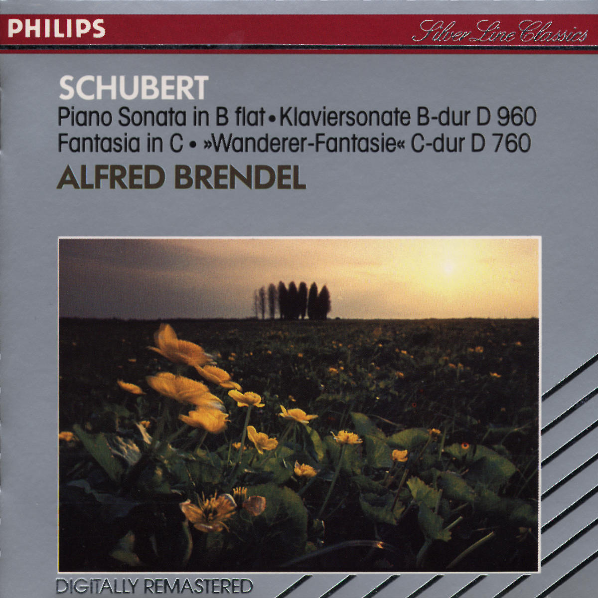 Schubert piano. Пластинка Alfred Brendel.