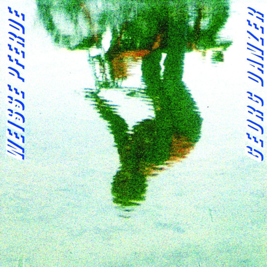 Weiße Pferde 0042282372826