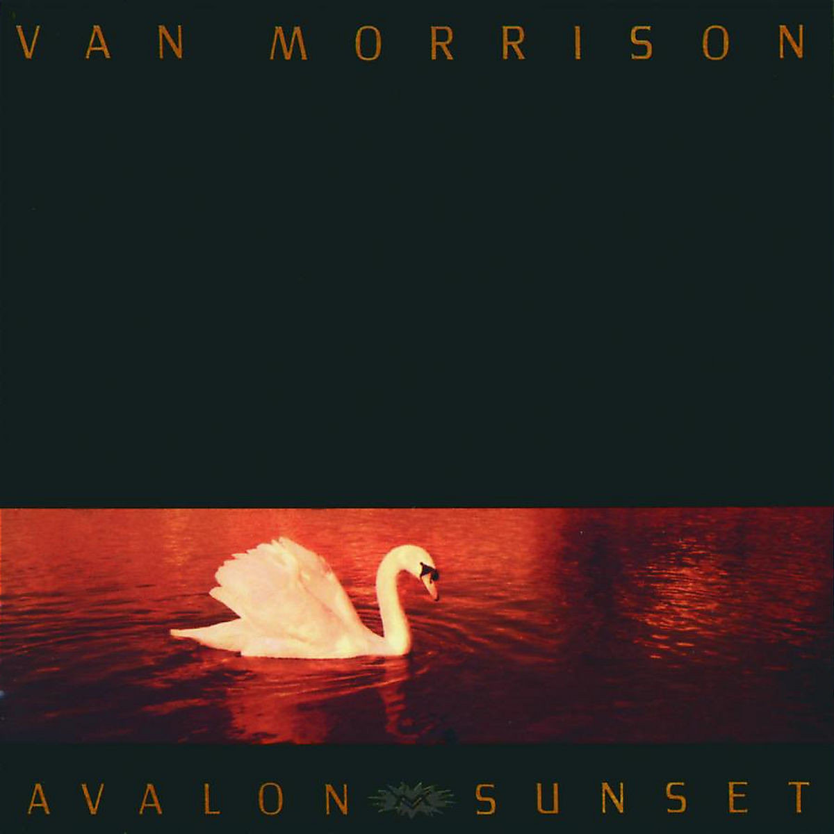 Van Morrison | Musik | Avalon Sunset