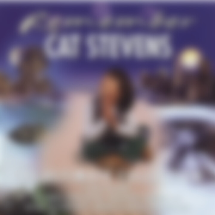 Remember Cat Stevens - The Ultimate Collection 0731452460828