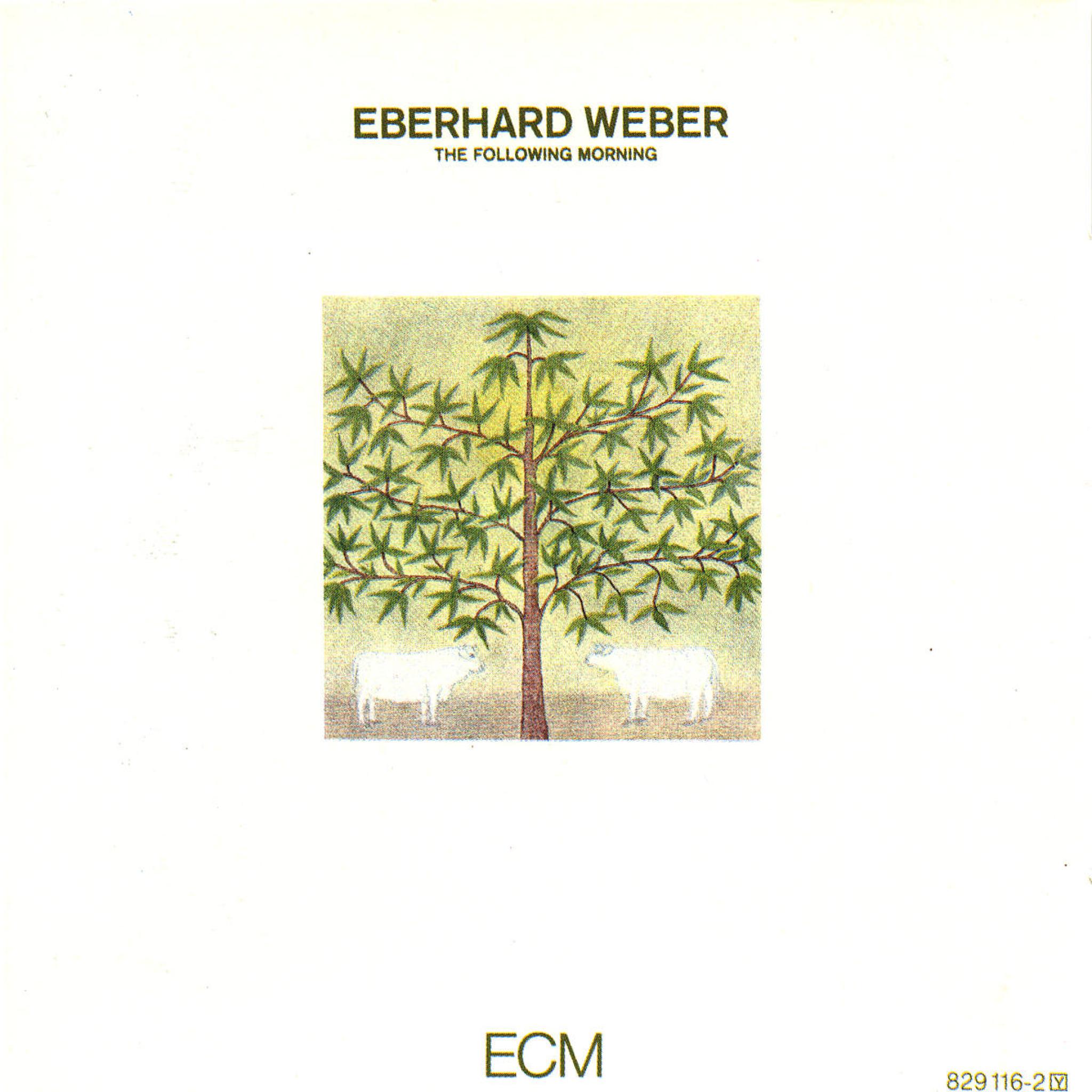 The Following Morning 0042282911627