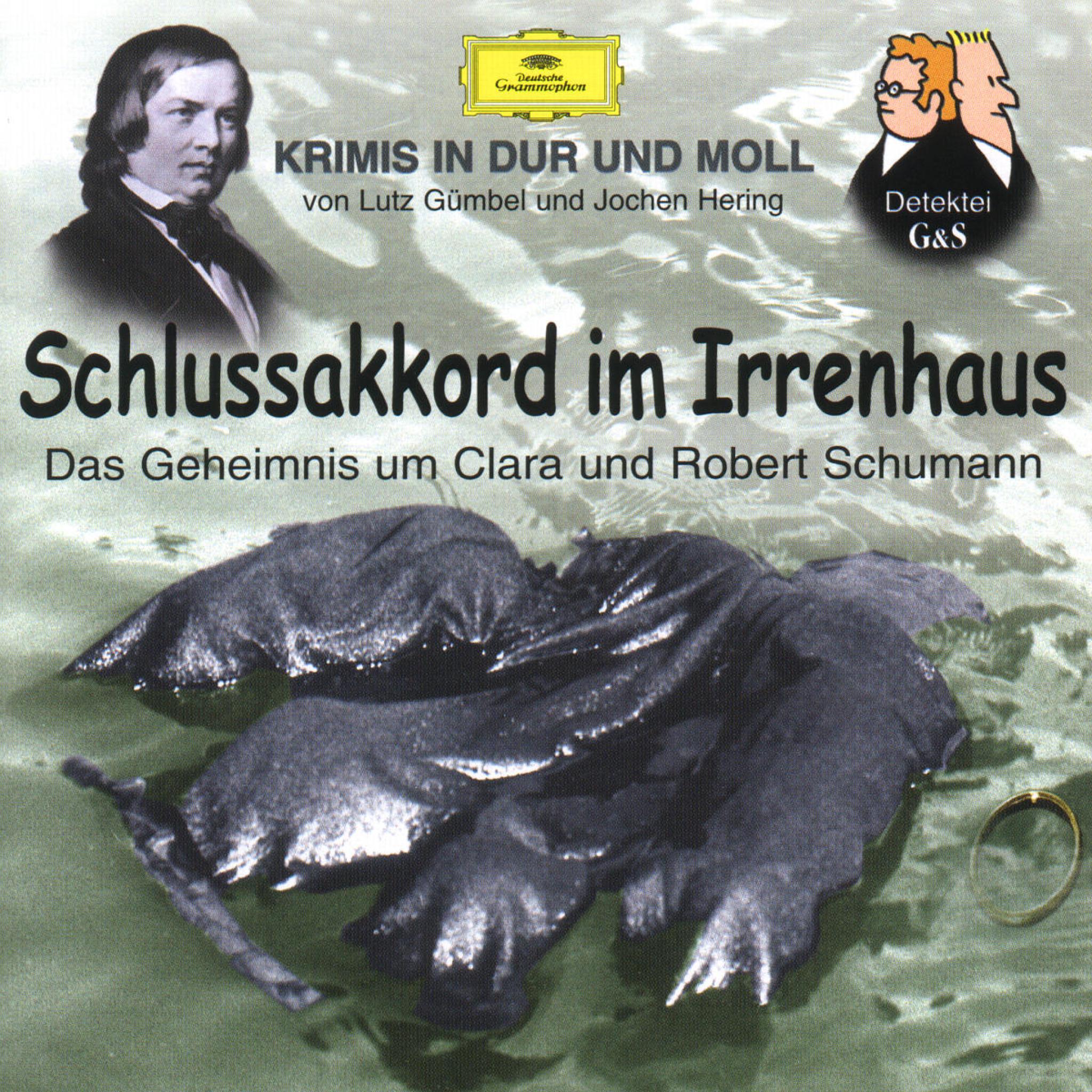Schlussakkord im Irrenehaus: Das Geheimnis um Clara und Robert Schumann 0028945980427