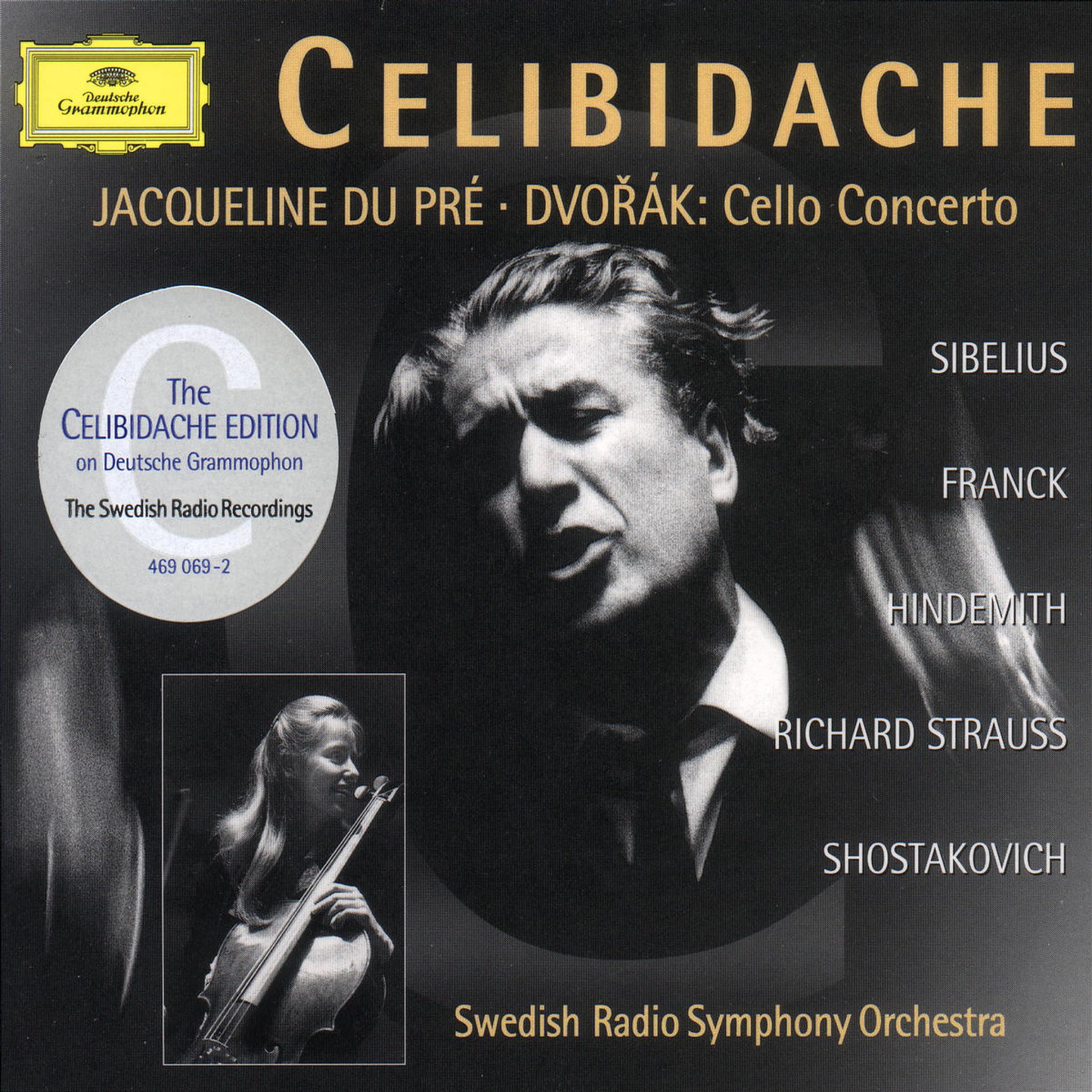 Cellokonzert in h-moll; Sinfonie in D-dur; Sinfonie "Mathis der Maler"; Don Juan 0028946906927