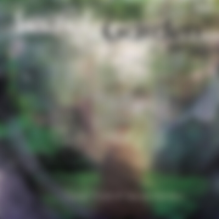 Songs From A Secret Garden 0731452823029