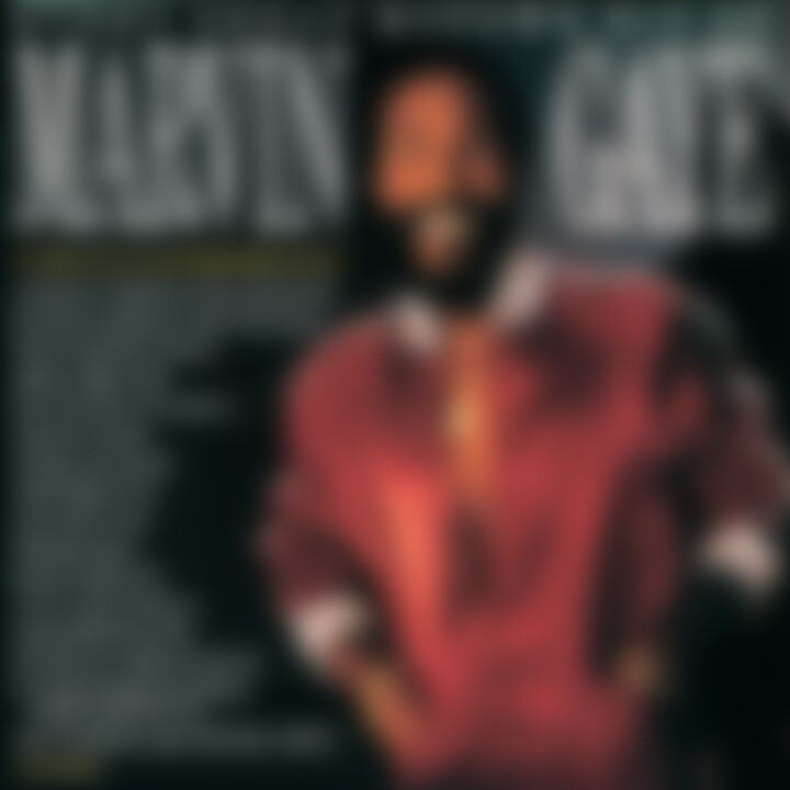 Every Great Motown Hit Of Marvin Gaye 0731454951724