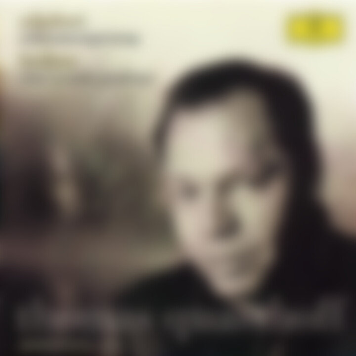 Schubert: Schwanengesang D957 / Brahms: Vier ernste Gesänge, Op.121 0028947103022
