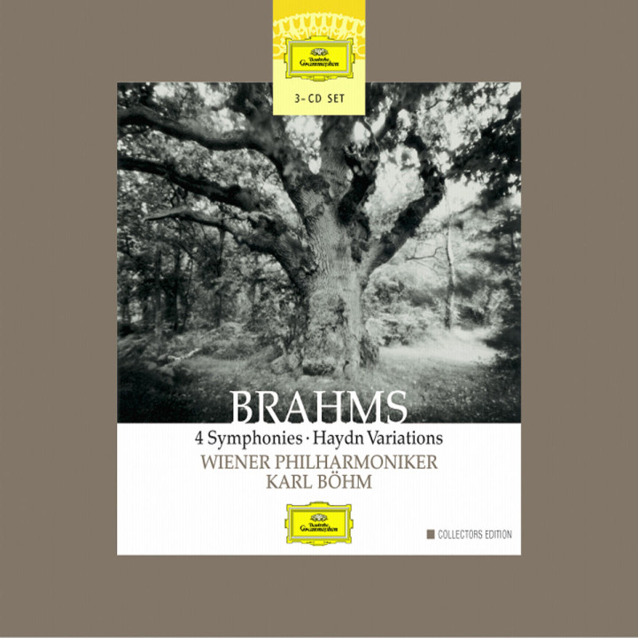 Brahm: 4 Symphonies; HaydnVariations 0028947144324