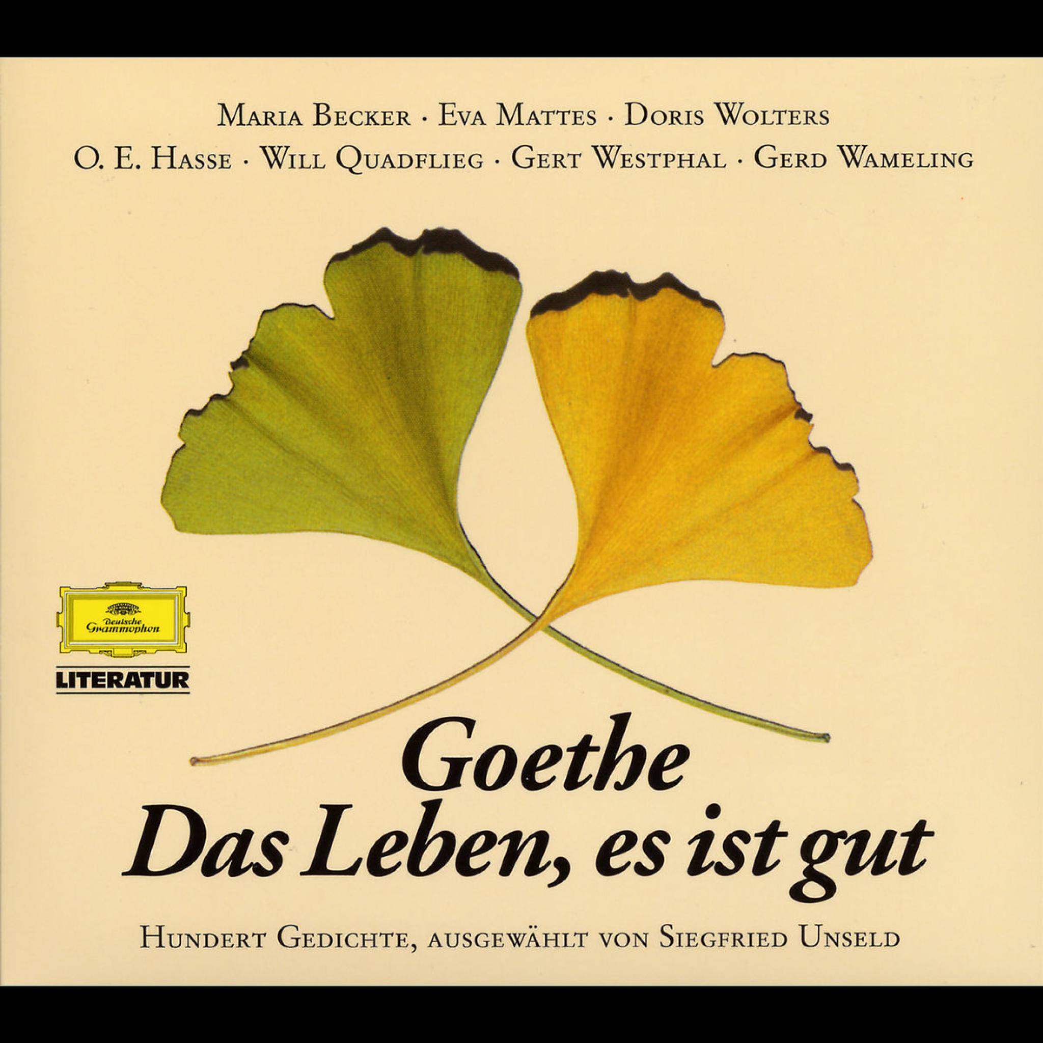 Das Leben, es ist gut