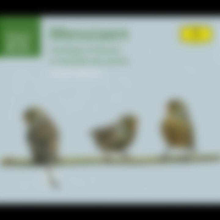 Catalogue d'oiseaux; La Fauvette des jardins 0028947434520