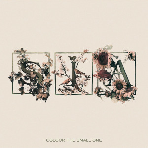 Colour The Small One 0602498661031