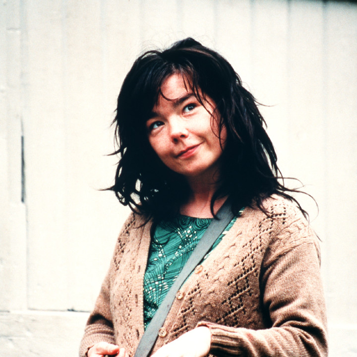 bjork04.jpg