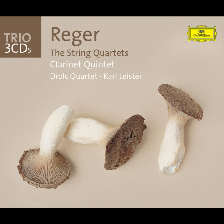 Reger: The String Quartets 0028947755184