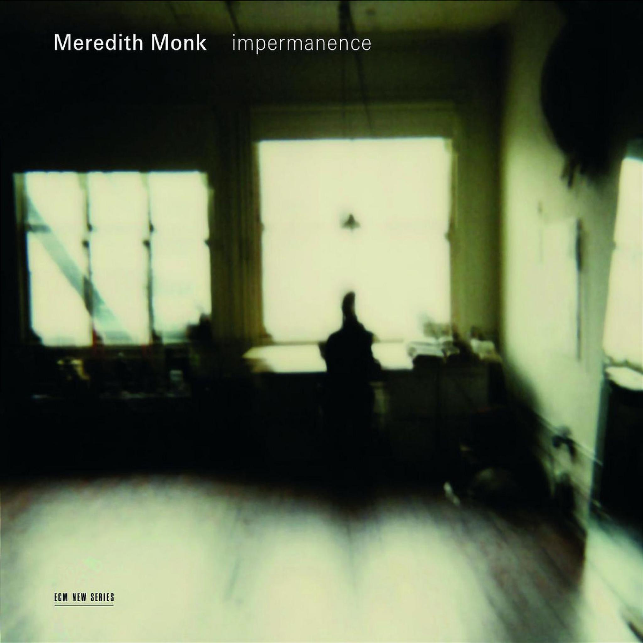 Impermanence 0028947663911