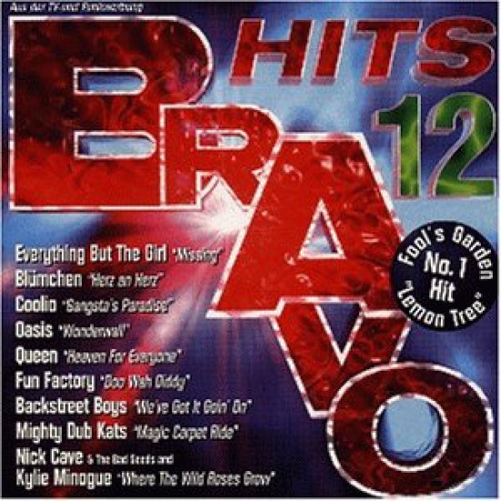 BRAVO Hits 12