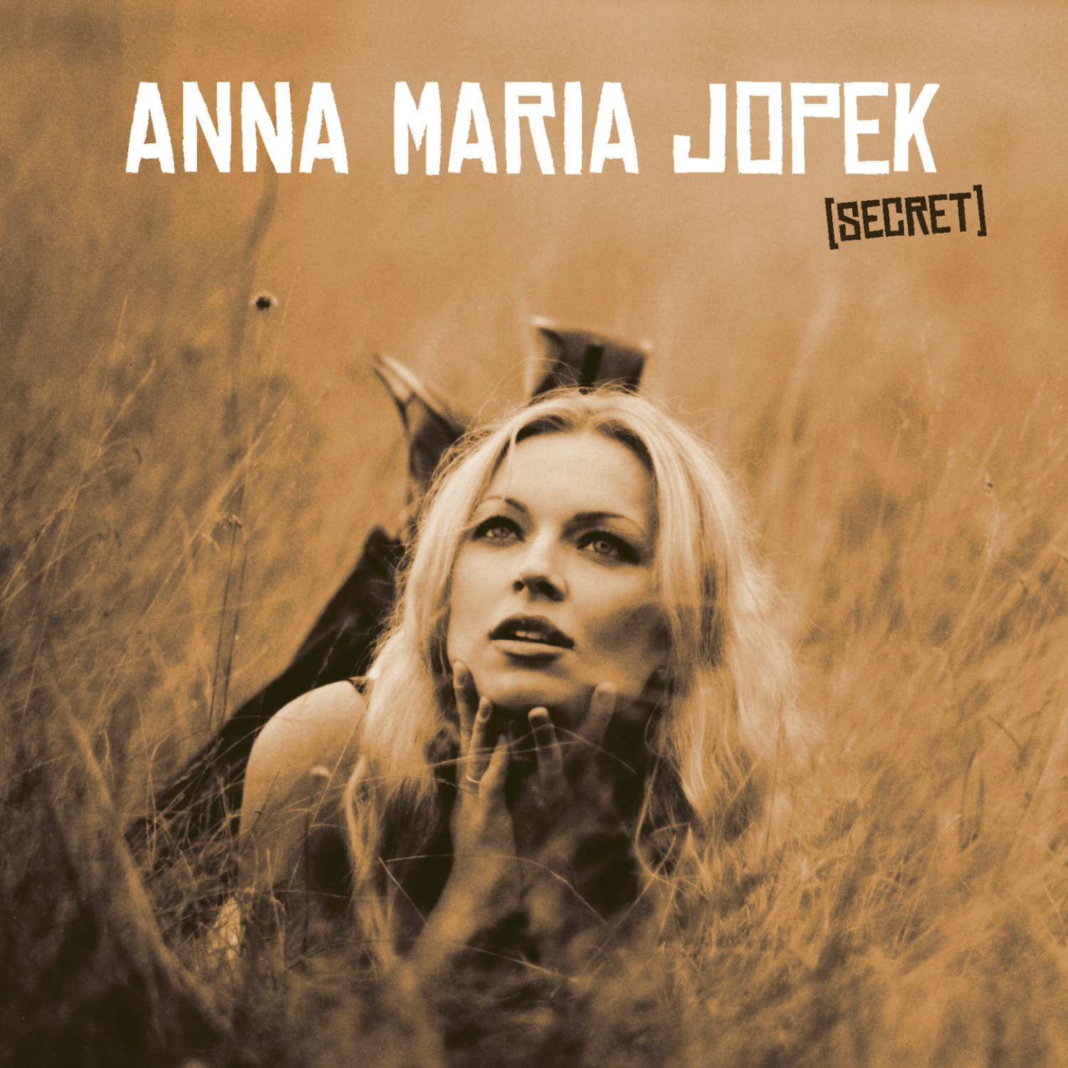 Anna maria jopek песня. Anna Maria Jopek "Secret":. Anna Maria Jopek for you. Песня Анна Мария. 2007 ID (Anna Maria Jopek album).