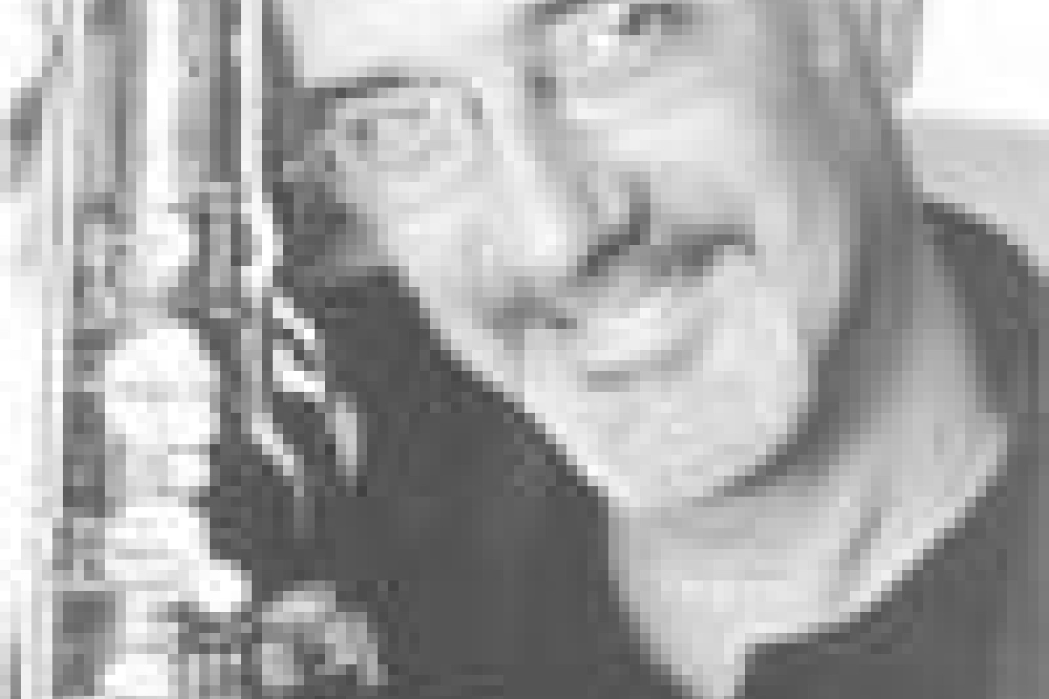 Grammy Awards Grammy Awards