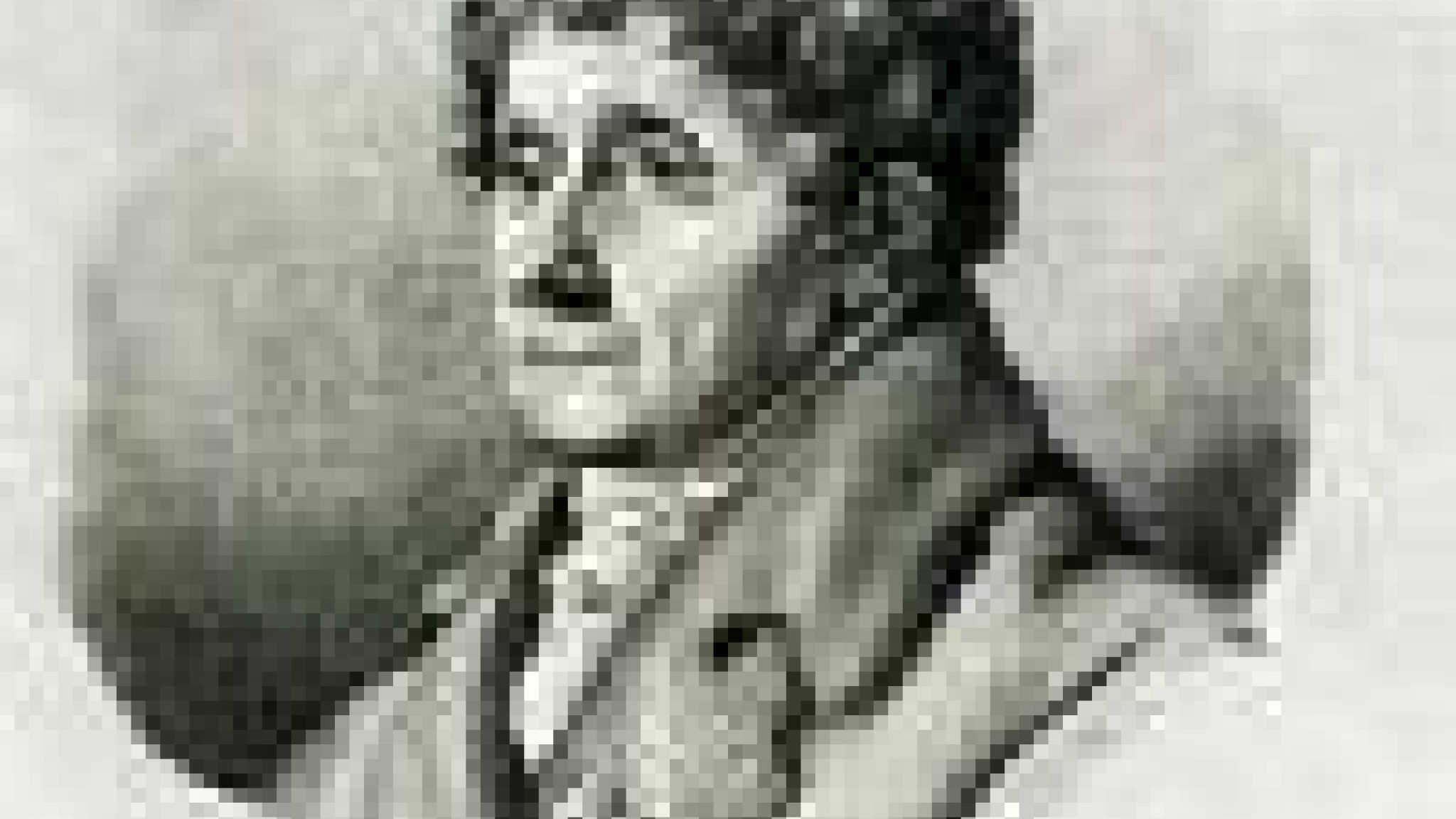 Des Kaisers Komponist: Antonio Salieri