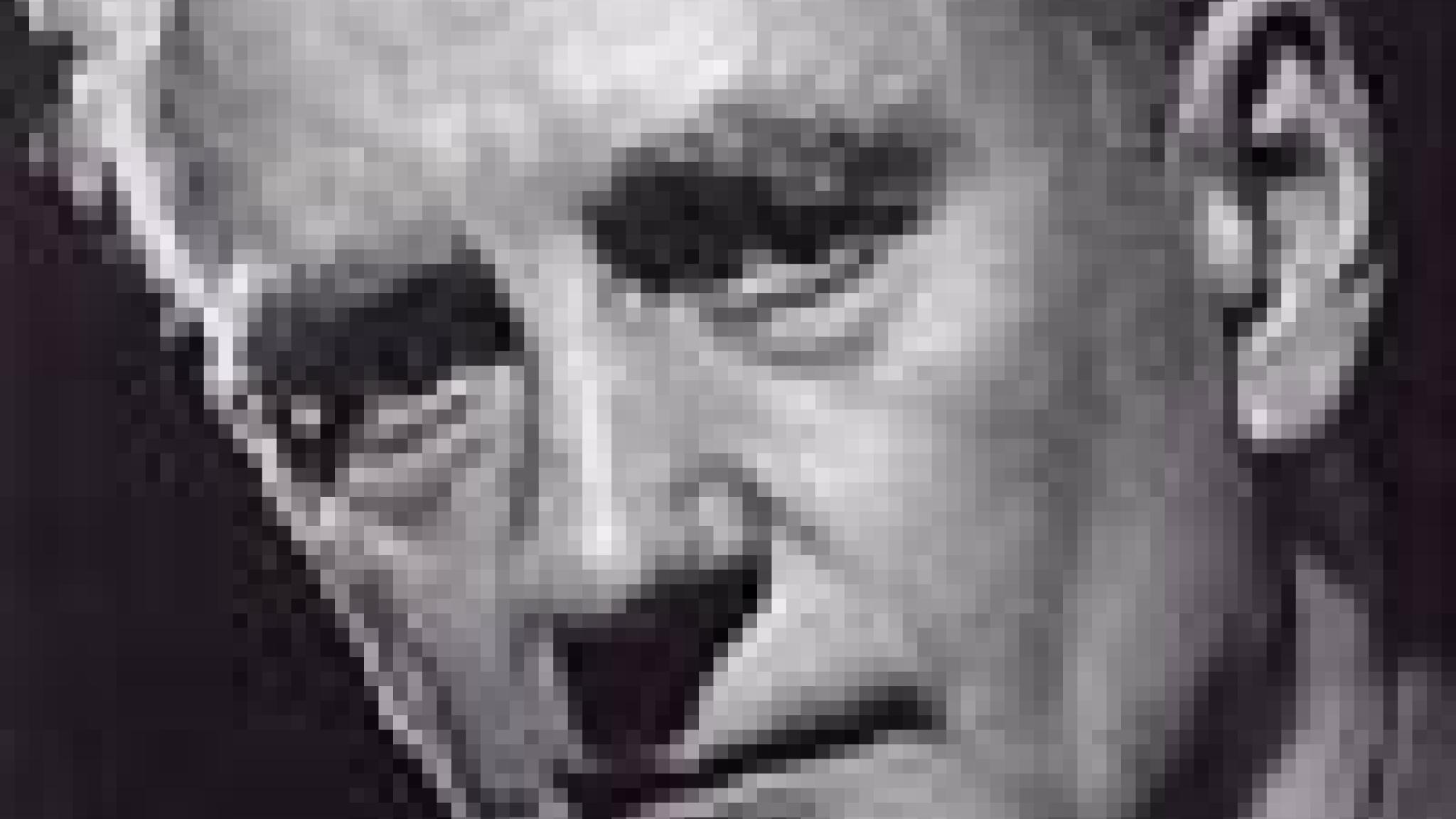 Edler Ernst