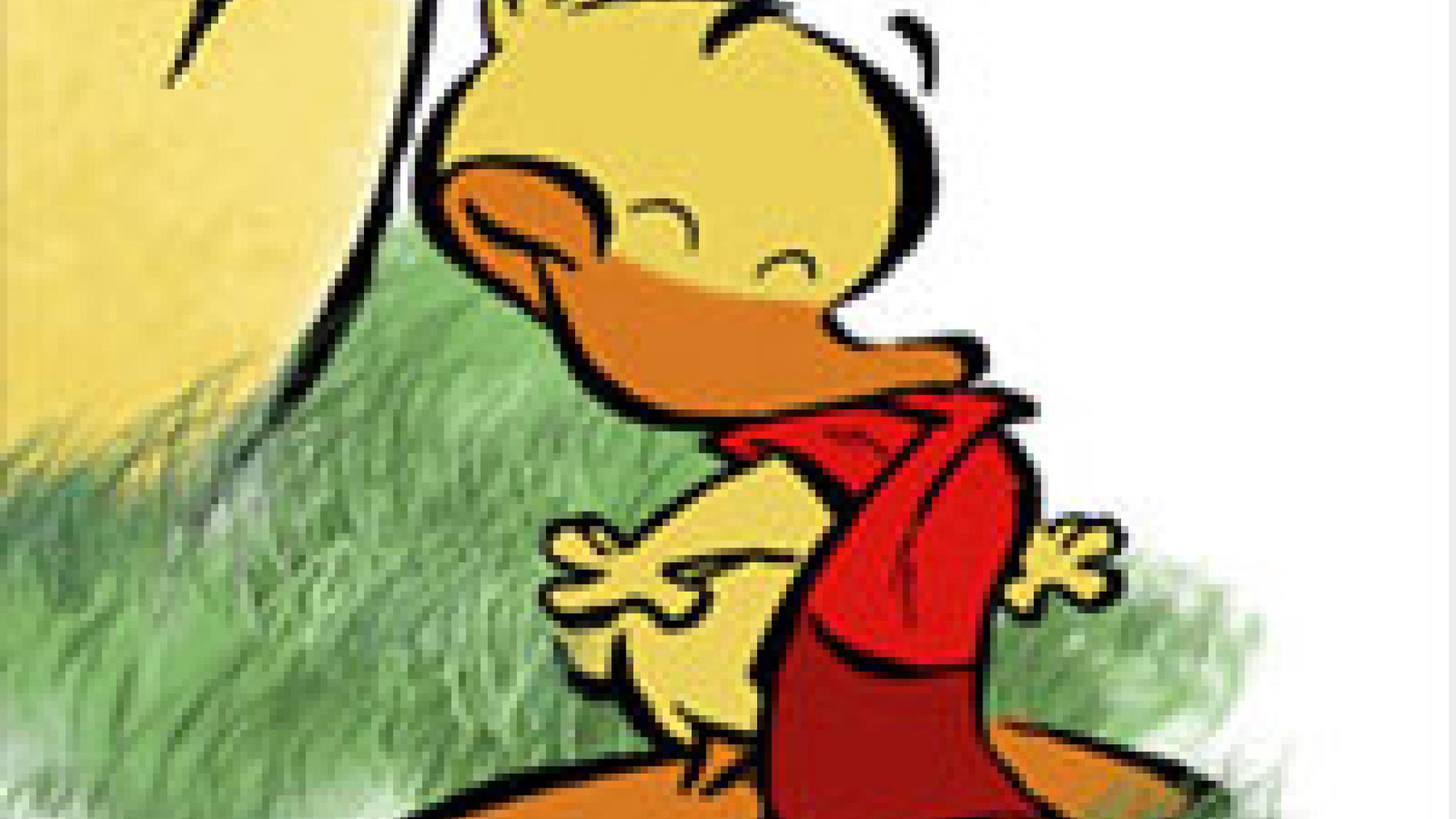 Von Enten und anderen Liedern
