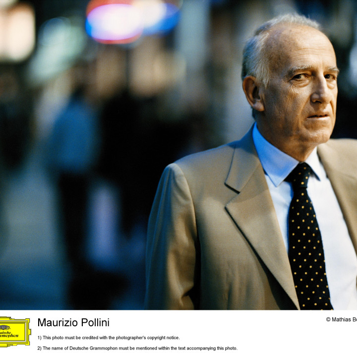 Pollini Bild 6