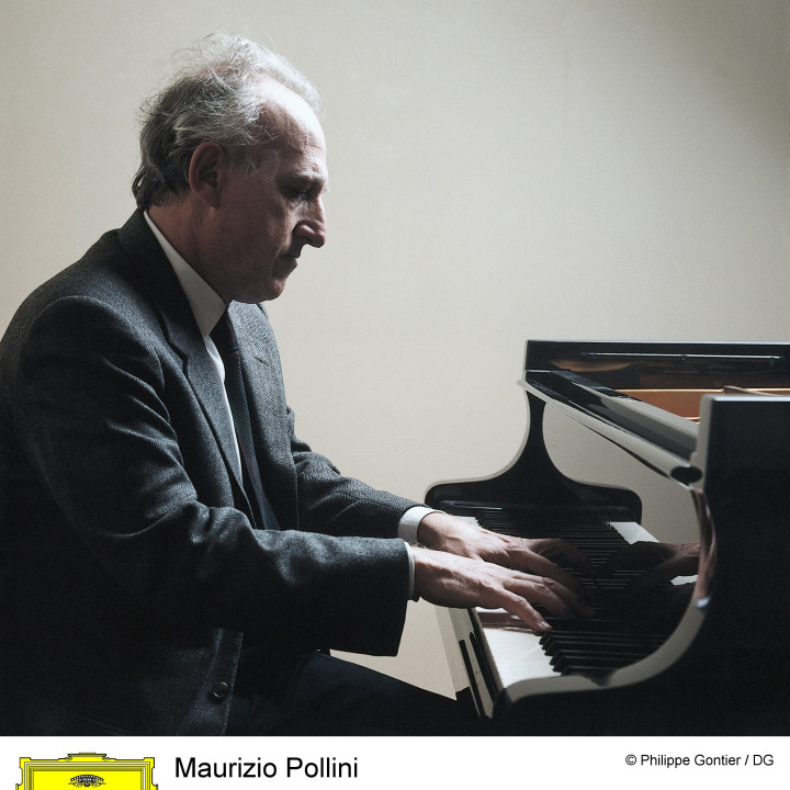 Pollini Bild 7