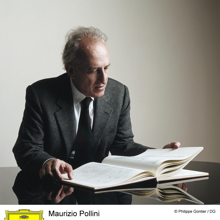 Pollini Bild 8