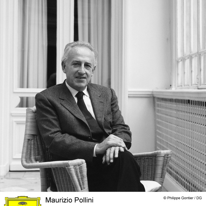 Pollini Bild 9