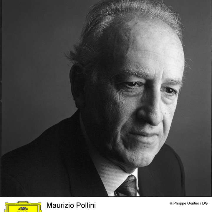 Pollini Bild 10