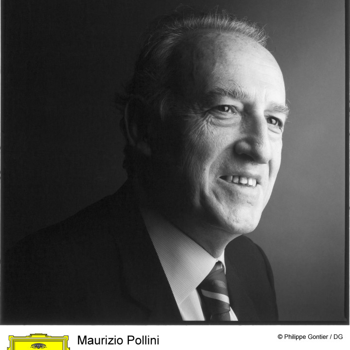 Pollini Bild 11