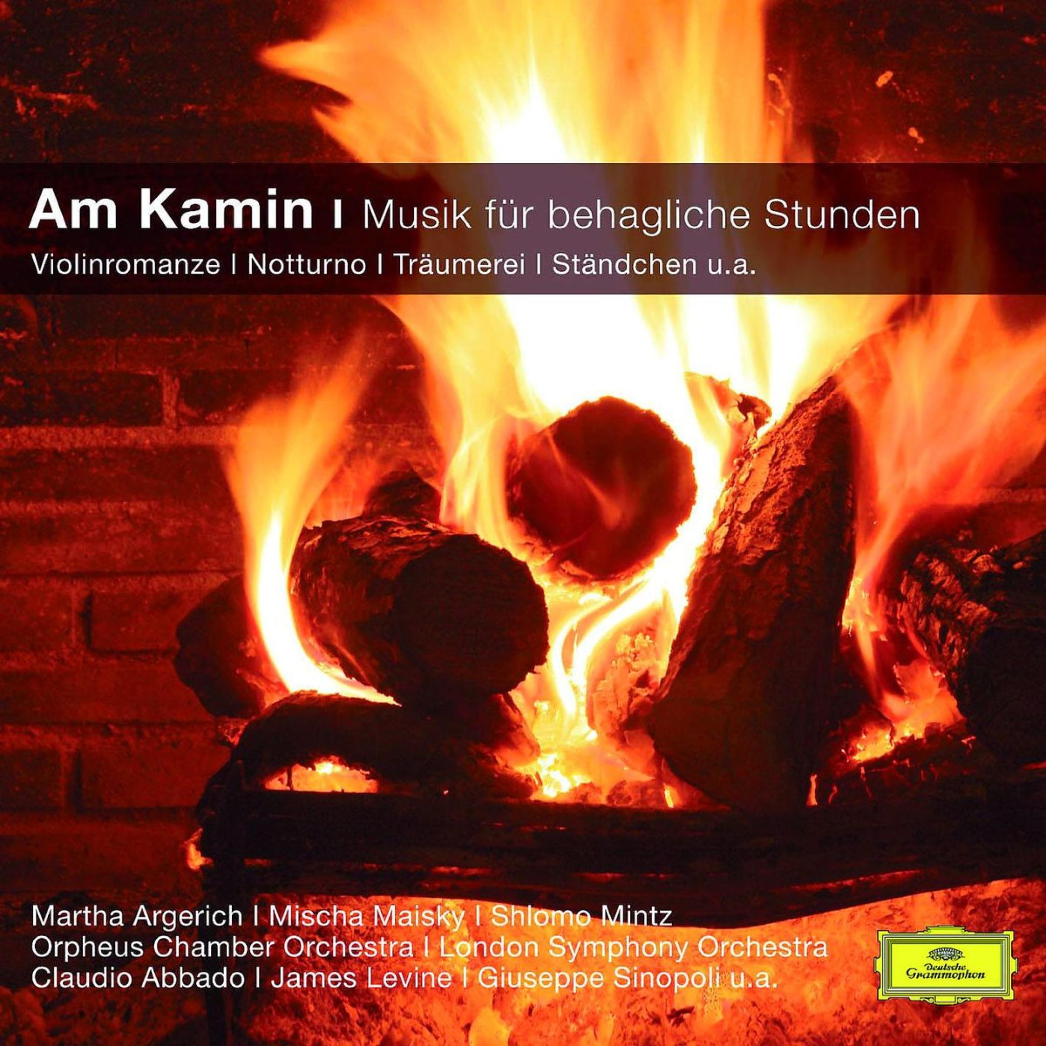 Am Kamin - Musik für behagliche Stunden 0028948018314