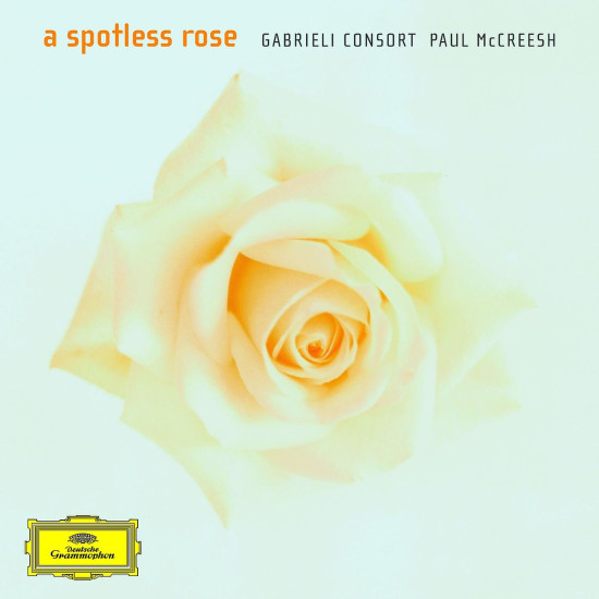 A Spotless Rose 0028947776352