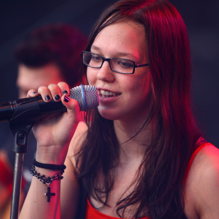 Heinzmann Live Bild 03 2008