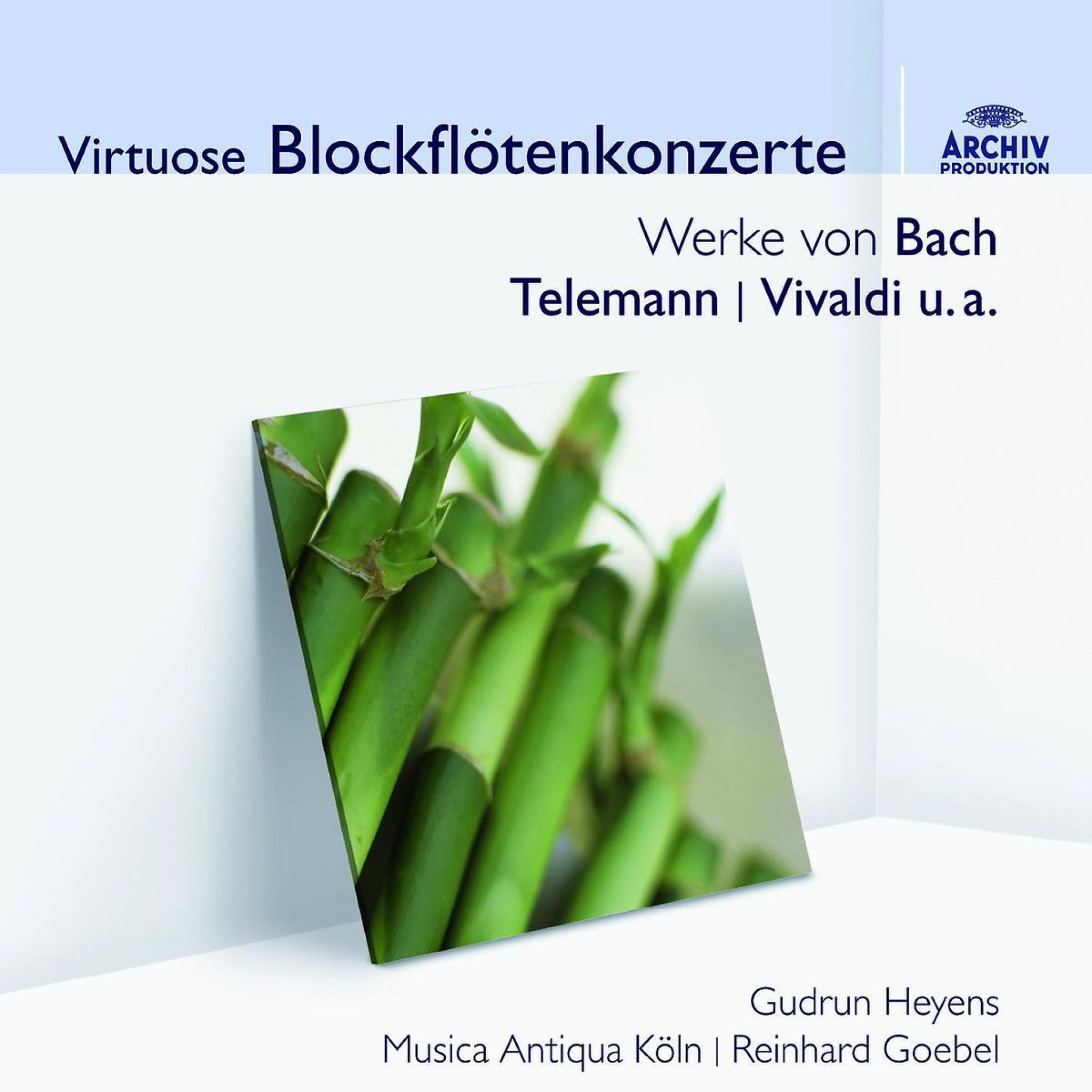 Virtuose Blockfl