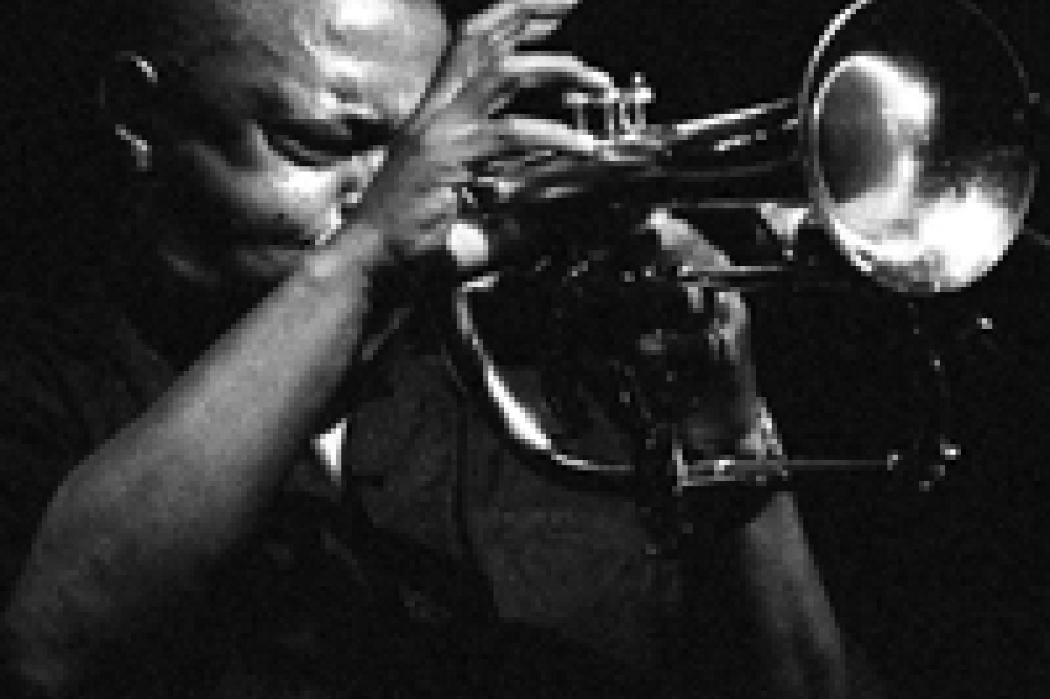 Hugh Masekela 200 © scorpius73 from Washington, DC, USA