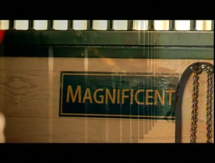 Magnificent