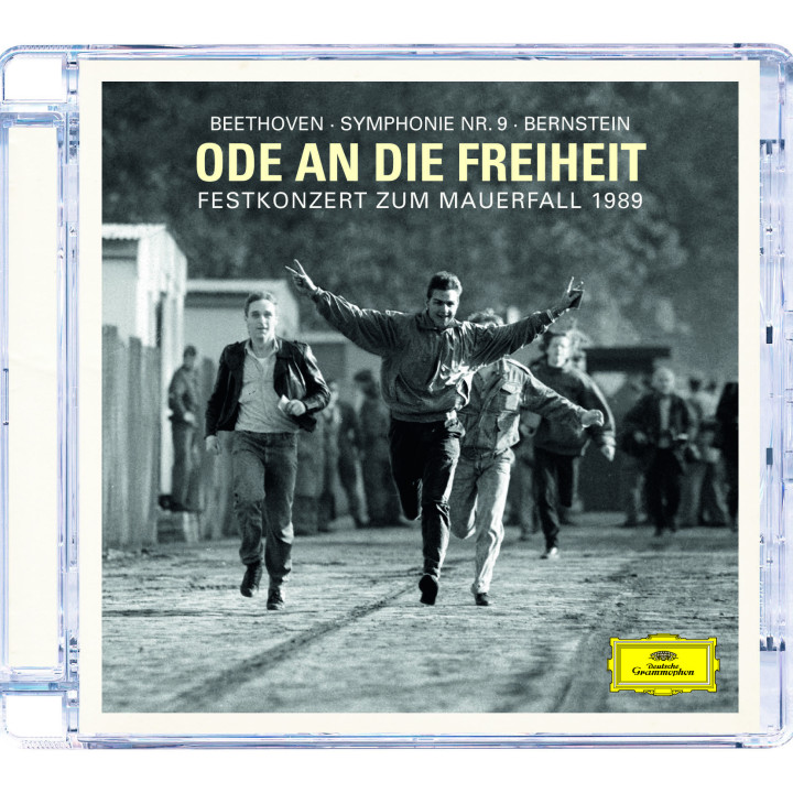 Oder an die Freiheit, Bernstein 01 – 2009