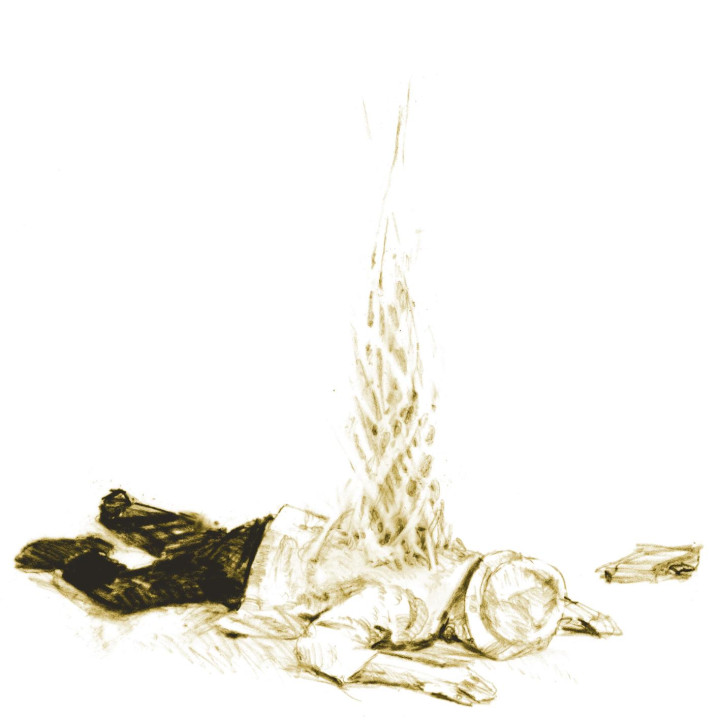 Patrick Watson fireweed cover 2009