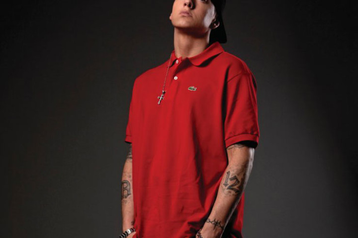 Eminem Genrewebgrafik 2009 1