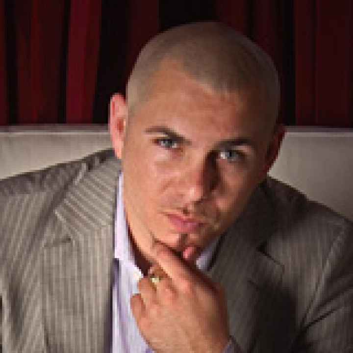 pitbull webgrafik