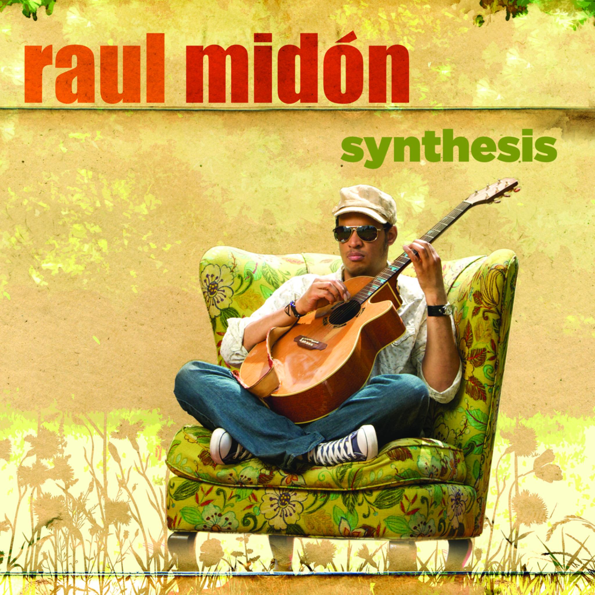 Raul Midon - Synthesis