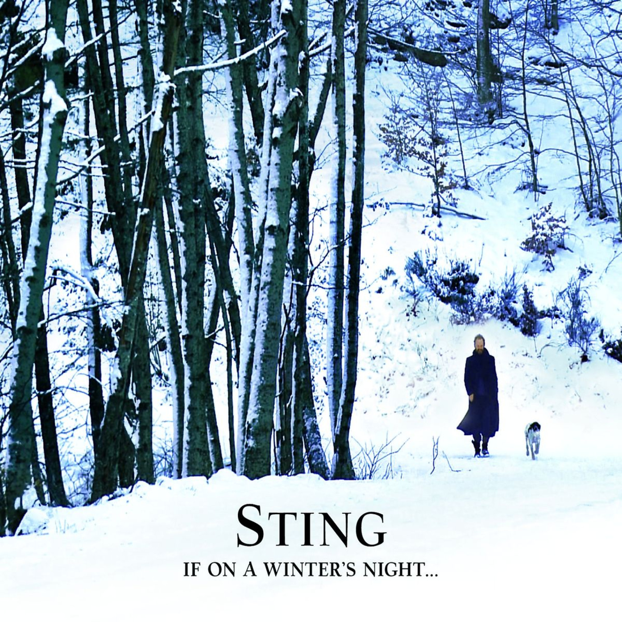 If on a winter's night: Sting