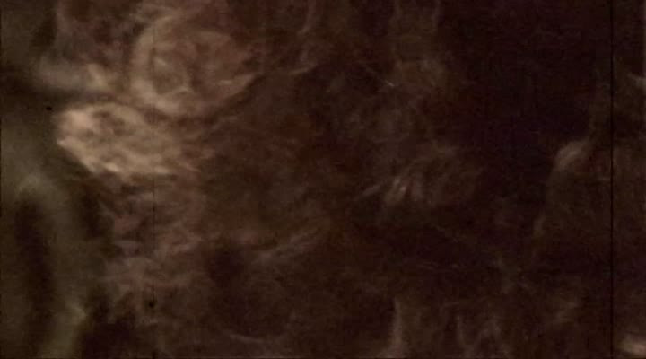 Webisode 2: Wolfmother und die neuen Bandmitglieder