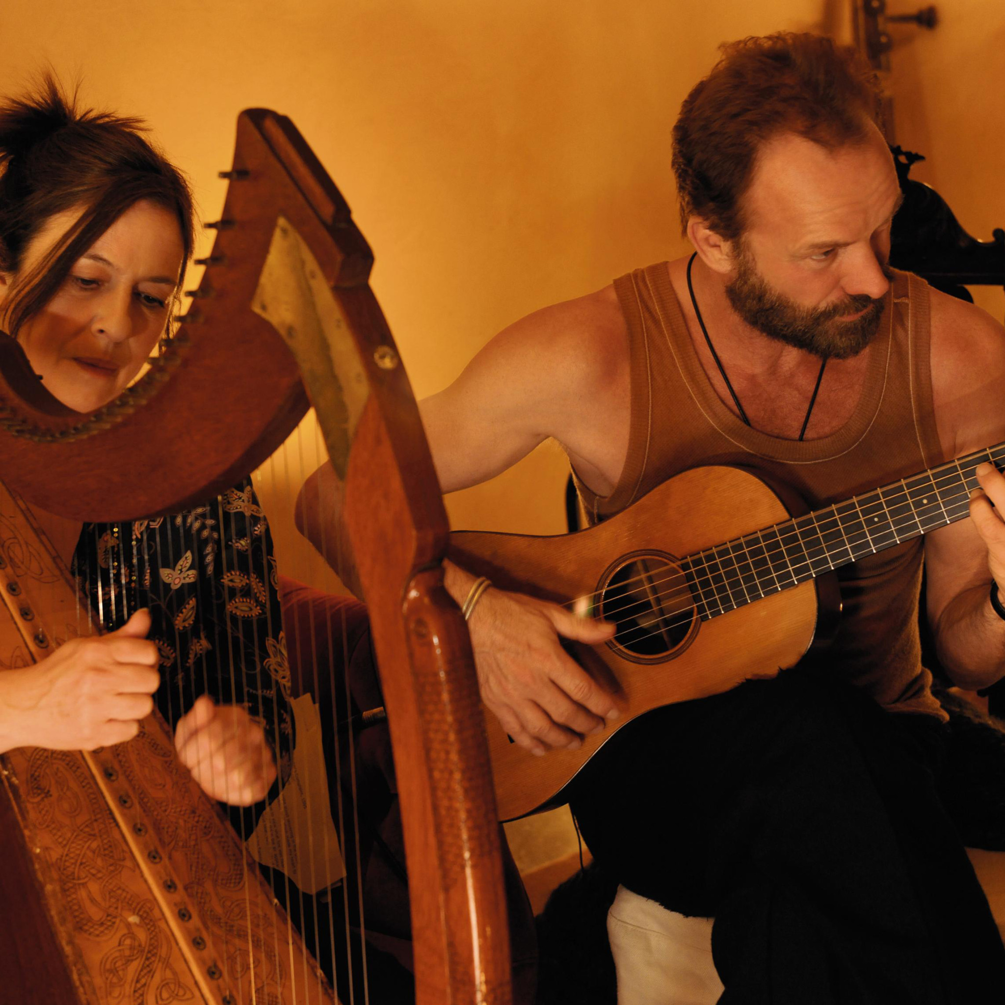 Sting, If On A Winter's Night, duet, harp © Tony Molina