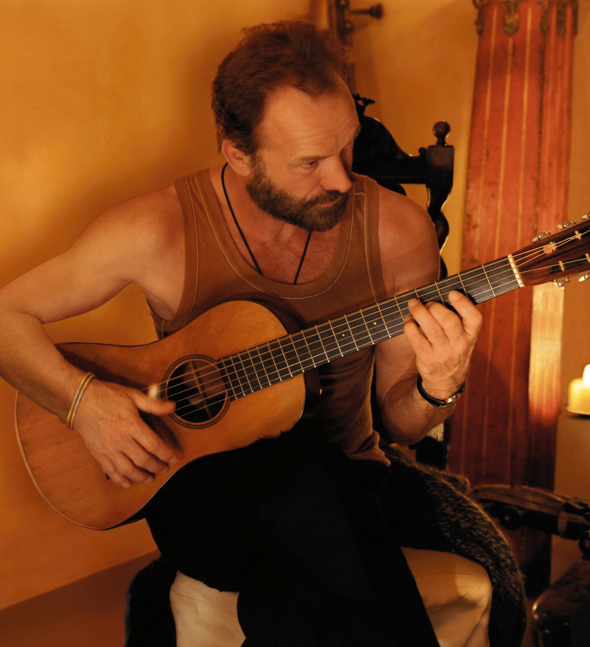 Sting, If On A Winter's Night, solo, snow, forest track © Tony Molina 