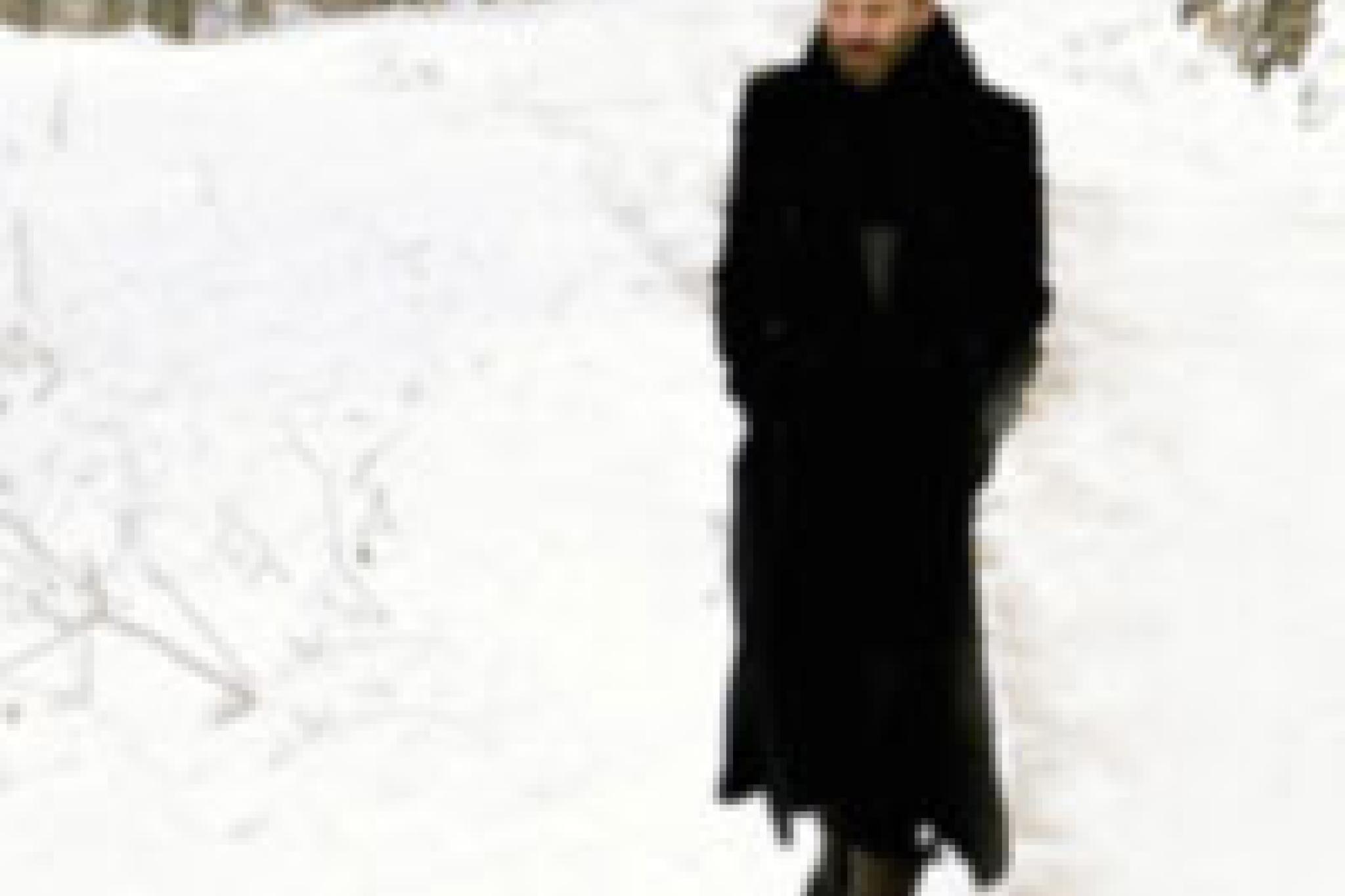 Sting © Tony Molina