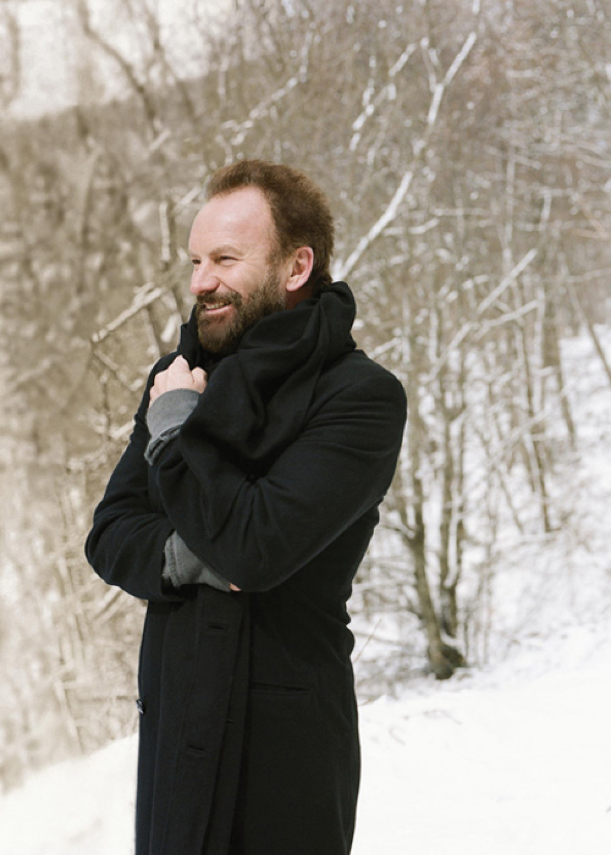 Sting © Tony Molina