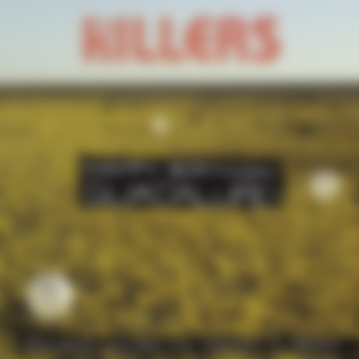 The Killers Cover 2009